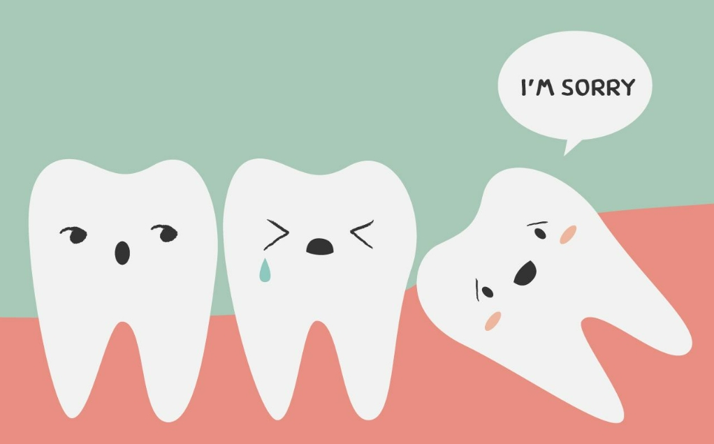 恒牙什么时候开始长智齿？
