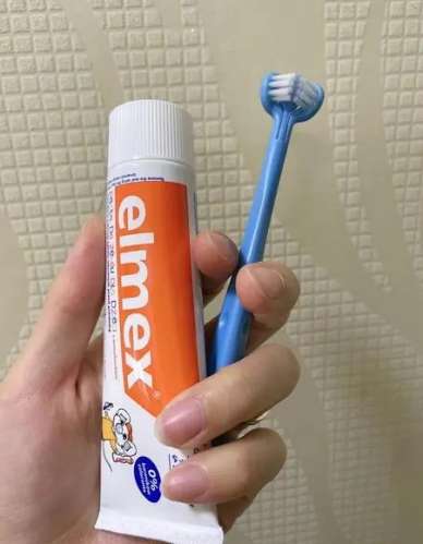 到底该用冷水还是热水刷牙?